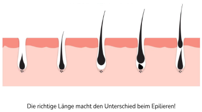 optimale Haarlänge